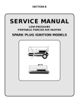 Spark Plug Ignition Models Service Manual