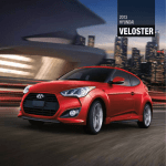 VELOSTER - Dick Edwards