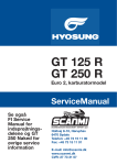 GT 125 R GT 250 R