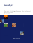 Stargate NetBridge Gateway User`s Manual