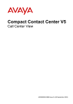 Avaya Compact Contact Center V5 Call Center View