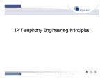 IP Telephony Engineering Principles