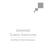 Sonance SUB 10-150 Subwoofer