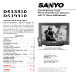 Sanyo DS19310 19" TV