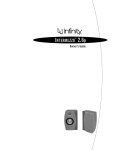 Infinity Intermezzo 2.6 Speaker