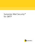 Symantec Mail Security For SMTP 4.1 (10324558) for PC, Sun