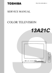Toshiba 13A21C Flat Panel Television User Manual