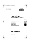 Sony KV-29CL10B Flat Panel Television User Manual