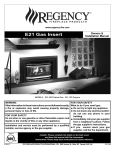 Regency E21-NG2 Indoor Fireplace User Manual