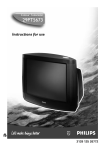 Philips 29PT5673 CRT Television User Manual