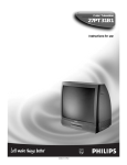 Philips 27PT31B1 CRT Television User Manual