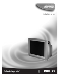 Philips 20PT 91S CRT Television User Manual