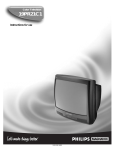 Philips 19PR21C1 CRT Television User Manual