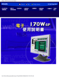 Philips 170W4P Computer Monitor User Manual