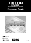 Korg SE-300 Music Pedal User Manual
