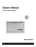 Generac 005818-0 Welding System User Manual