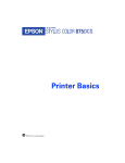 Epson 875DCS Printer User Manual