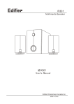 Edifier Enterprises Canada R301 Speaker System User Manual