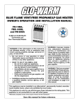 Desa FB-10BA Gas Heater User Manual