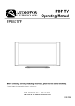 Audiovox FPE6317P Flat Panel Television User Manual