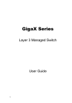 Asus GigaX Network Card User Manual