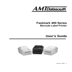 AMT Datasouth 400 Printer User Manual