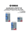 Yamaha mLAN16E User guide