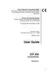 RDS ICP 300 User guide