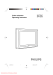Philips 29PT5307 Specifications