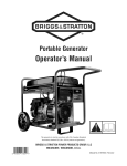 Briggs & Stratton 316916GS Specifications