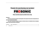 Prosonic DVR System information