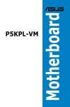 Asus P5KPL-VM System information