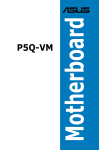 Asus P5Q-VM DO Specifications