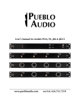 Audio Note P4 Balanced User`s manual