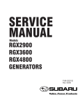 Robin America RGX2900 Service manual