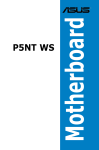 Asus Motherboard P5NT WS User`s manual