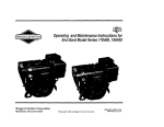 Briggs & Stratton MS-6445-01/03 Operating instructions