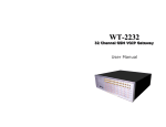 Witura WT-2232 User manual