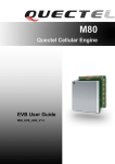 Sim2 M80 User guide