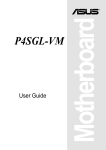 Asus P4SGL-VM User guide