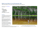 Digital versus Film for Travel Photography, 2009