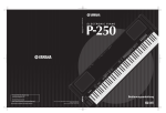 Yamaha P-250 Specifications