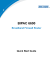 Billion BIPAC 6600 User manual