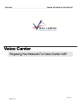 Voice Carrier Phone Setup guide
