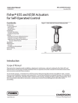 Emerson Fisher 655R Instruction manual