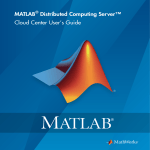 MATLAB DISTRIBUTED COMPUTING SERVER 4 - SYSTEM ADMINISTRATORS GUIDE User`s guide