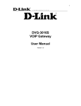 D-Link DVG-3016S User manual