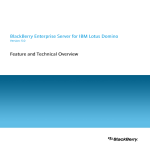 BlackBerry Enterprise Server for IBM Lotus Domino - 5.0