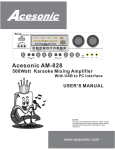 Acesonic AM-828 User`s manual
