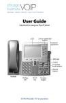 Cisco Chicago Business VoIP User guide